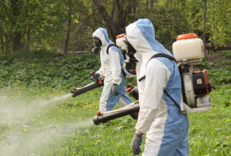 ФОТО Уничтожение клопов в рабочем поселке Московской области Северный