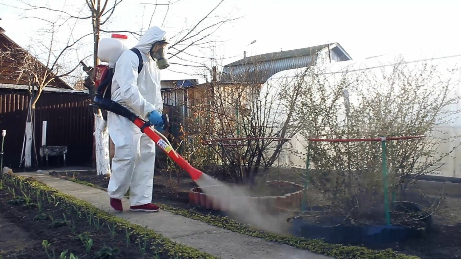 ФОТО Уничтожение муравьёв в рабочем поселке Московской области Северный