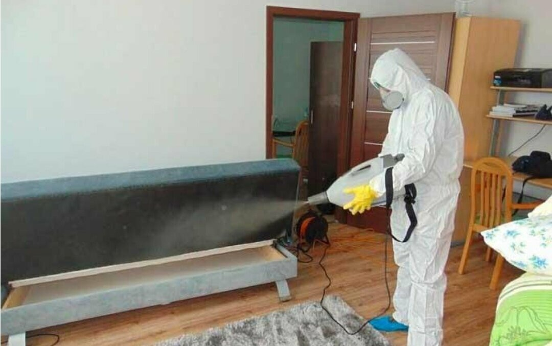 ФОТО Уничтожение блох в рабочем поселке Московской области Северный