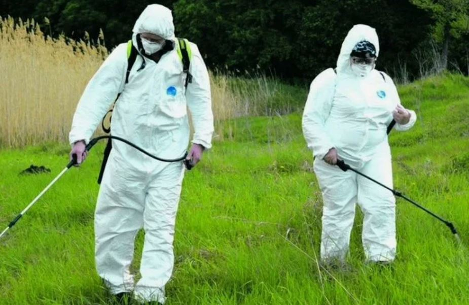 ФОТО Обработка от клещей в рабочем поселке Московской области Северный