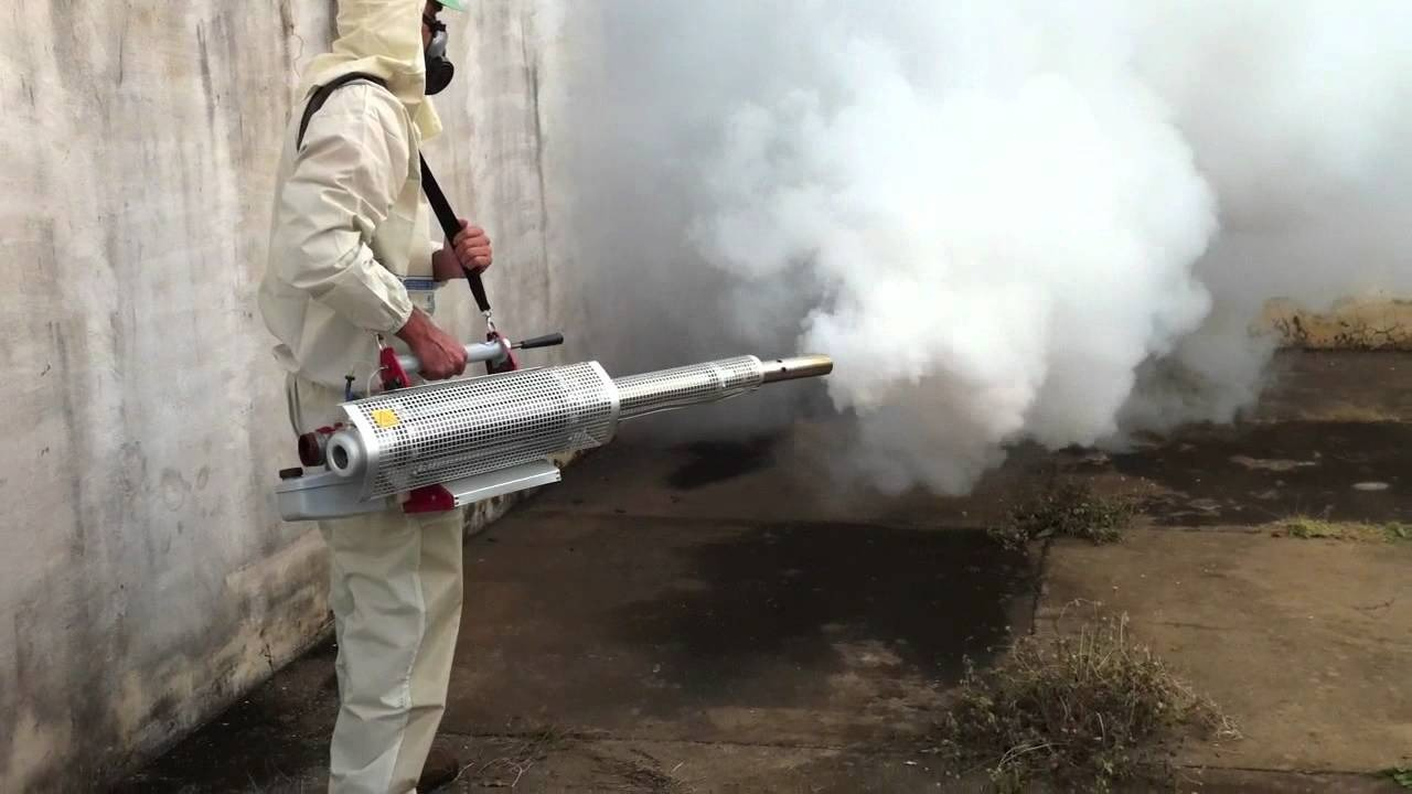 ФОТО Уничтожение мух в рабочем поселке Московской области Северный