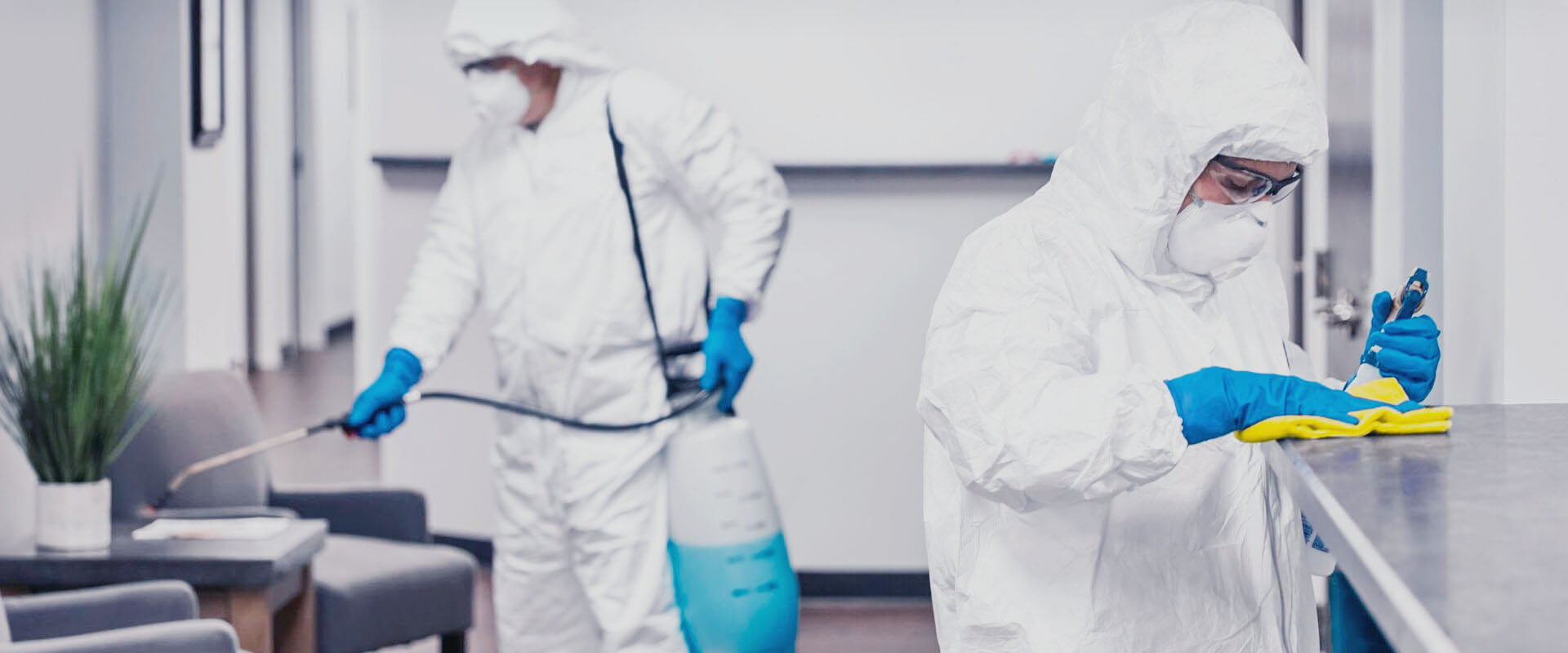 ФОТО В чем разница между дезинфекцией и дезинсекцией в рабочем поселке Московской области Северный? | подробно