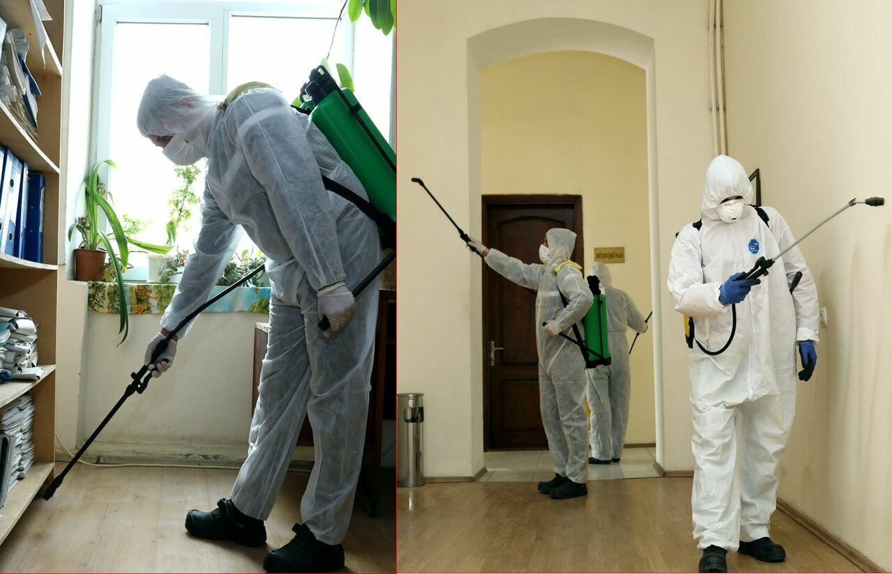 ФОТО Требуется ли лицензия для дезинсекции и дезинфекции в рабочем поселке Московской области Северный? | подробно