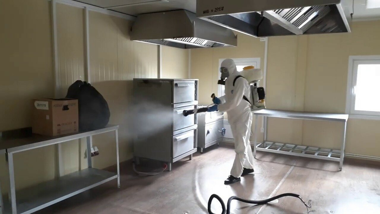 ФОТО Можно ли провести дезинсекцию самостоятельно и какие существуют риски в рабочем поселке Московской области Северный? | подробно