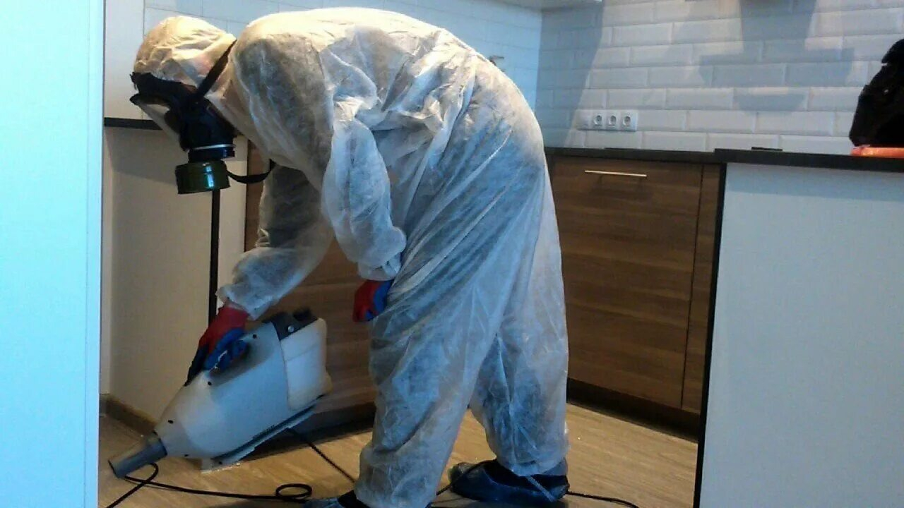 ФОТО Как подготовить домашних животных к обработке от насекомых в рабочем поселке Московской области Северный? | подробно