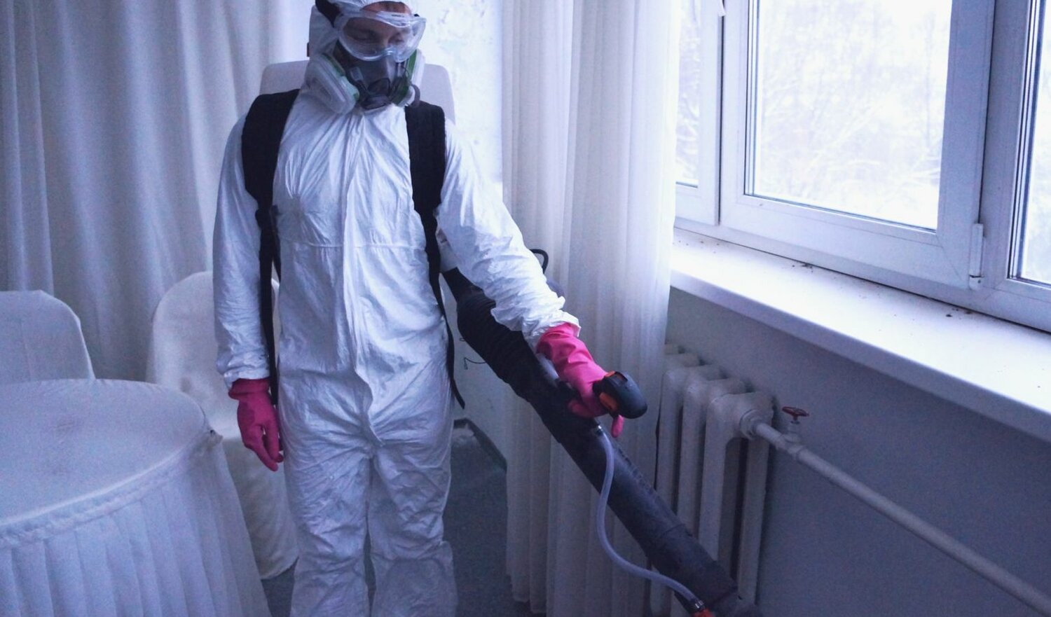 ФОТО Нужно ли выносить растения при дезинсекции в рабочем поселке Московской области Северный? | подробно