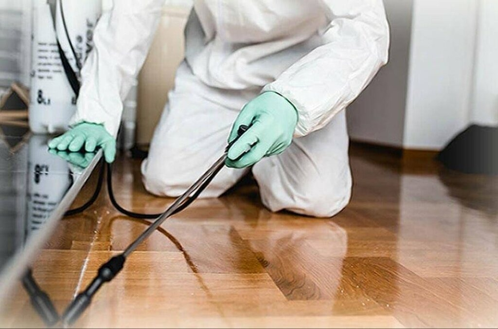 ФОТО Как подготовить вентиляцию при предстоящей дезинсекции в рабочем поселке Московской области Северный?