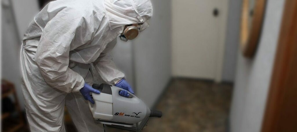 ФОТО Остаются ли следы после обработки квартиры от насекомых в рабочем поселке Московской области Северный? | подробно