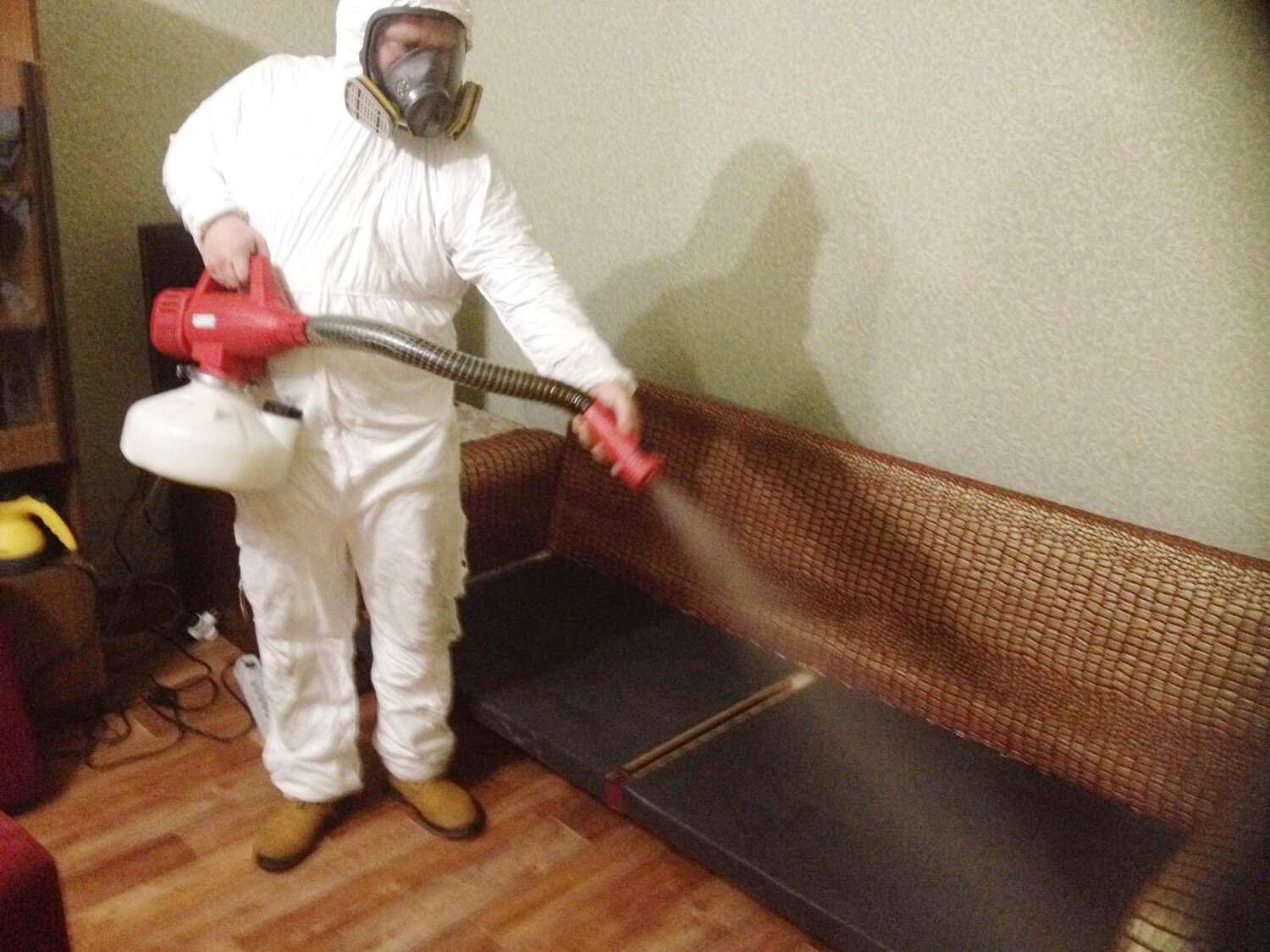 ФОТО Когда можно вернуться в помещение после дезинсекции в рабочем поселке Московской области Северный? | подробно