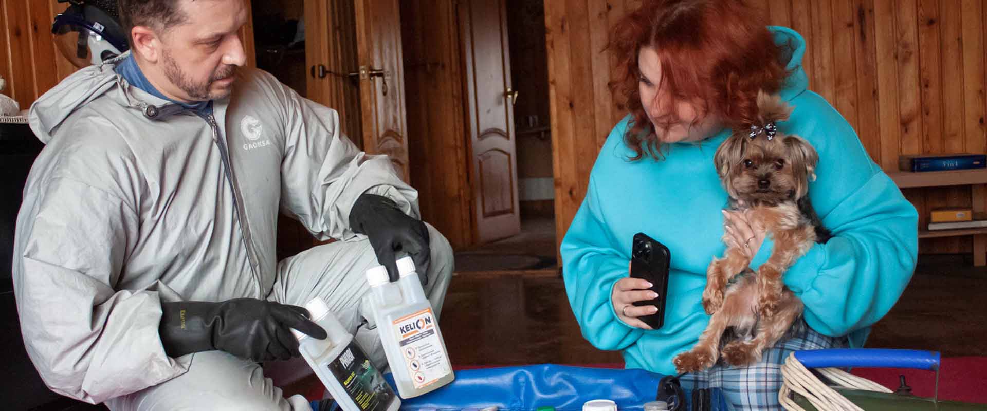 фото: Уничтожение блох в помещениях, домах и квартирах по рабочем поселке Московской области Северный и области.