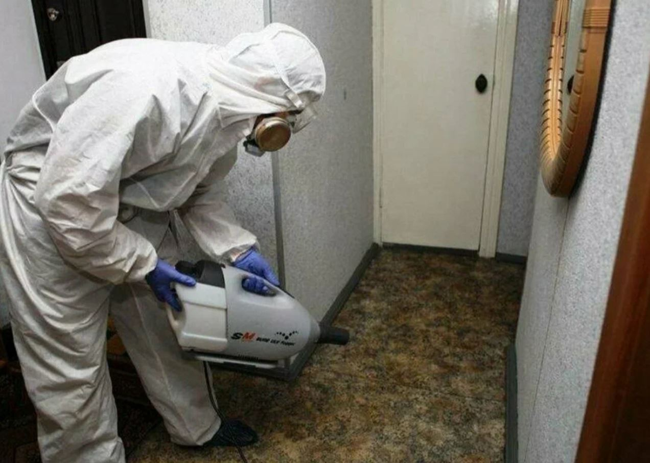 фото: Профессиональная дезинсекция в рабочем поселке Московской области Северный: <br/>+7-909-173-42-96